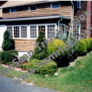 Test preview song 21